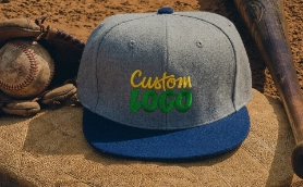 Snapback Embroidered Caps