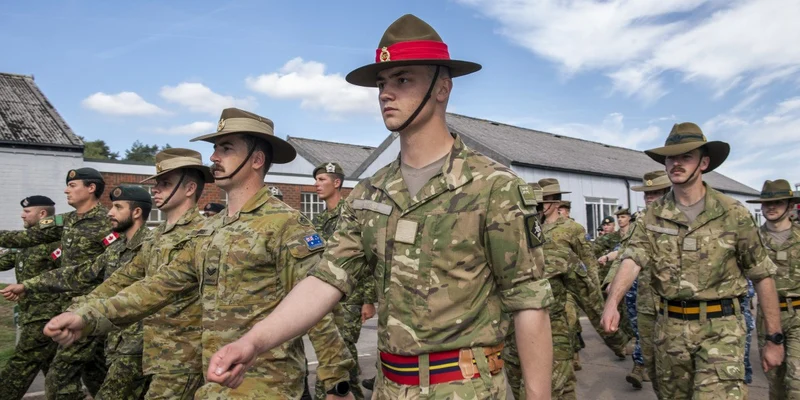 Military hats
